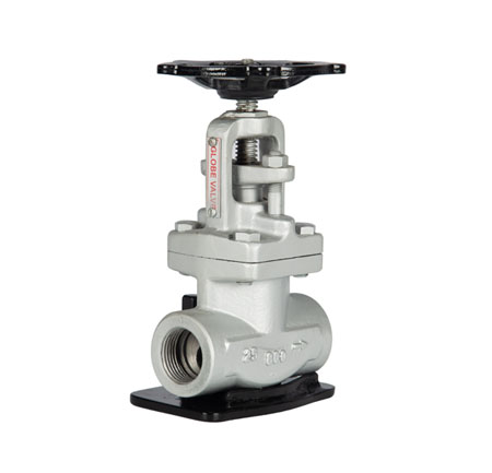 Globe Valve